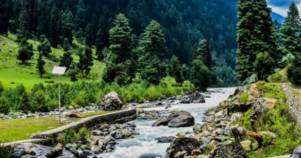 10 Best Hill Stations Near Jammu for Weekend Getaways