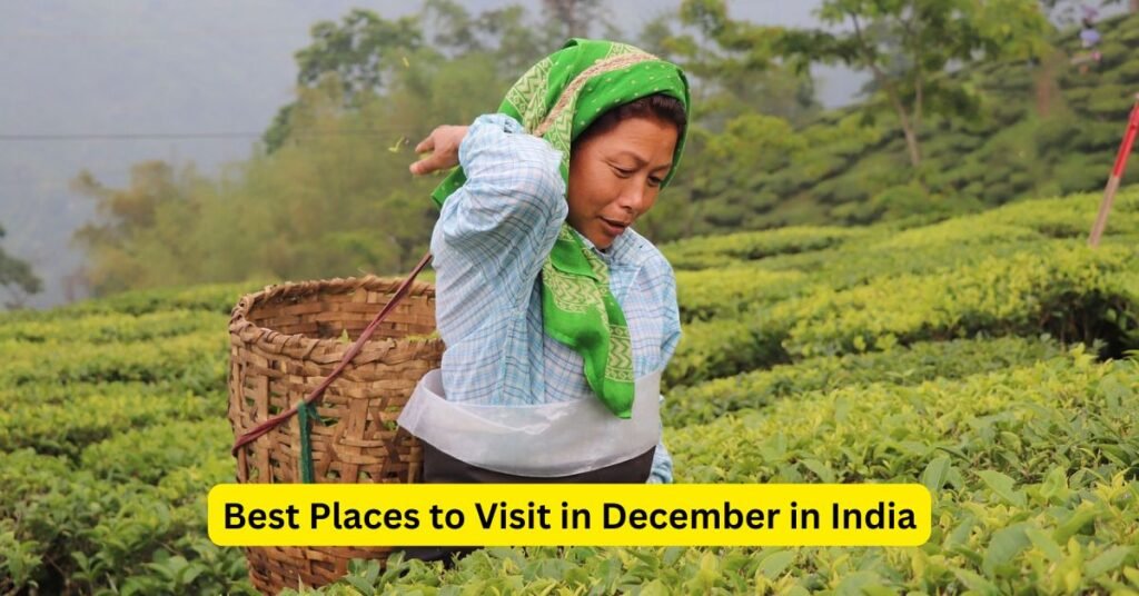 Best Places to Visit in December in India