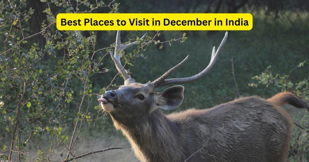 Best Places to Visit in December in India