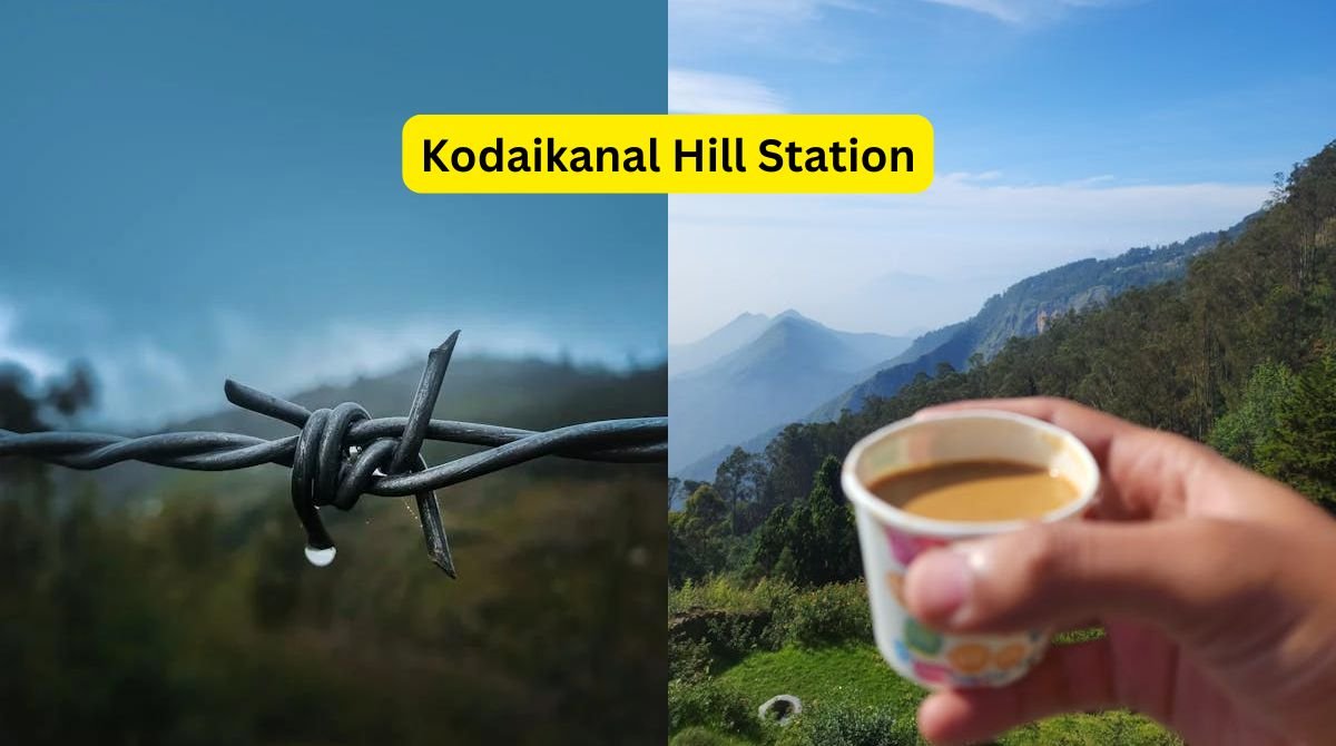 Discover Top 6 Places in Kodaikanal Hill Station Getaway in Tamil Nadu