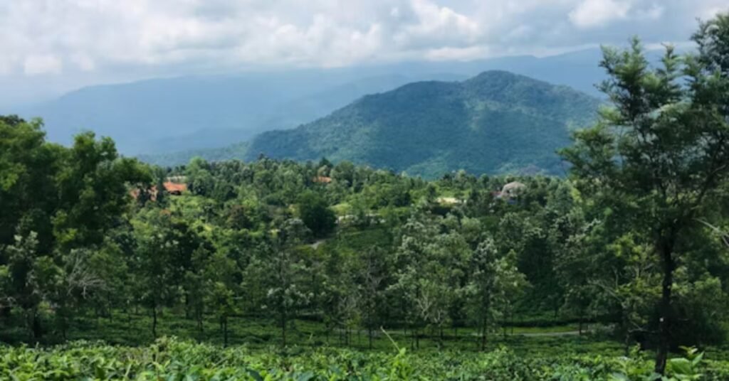 Ponmudi Hill Station
