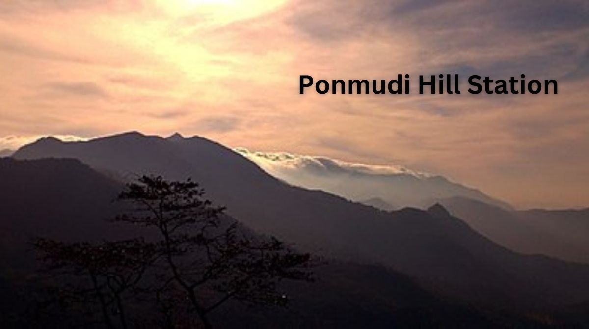 Discover the Beauty of Ponmudi Hill Station 2024