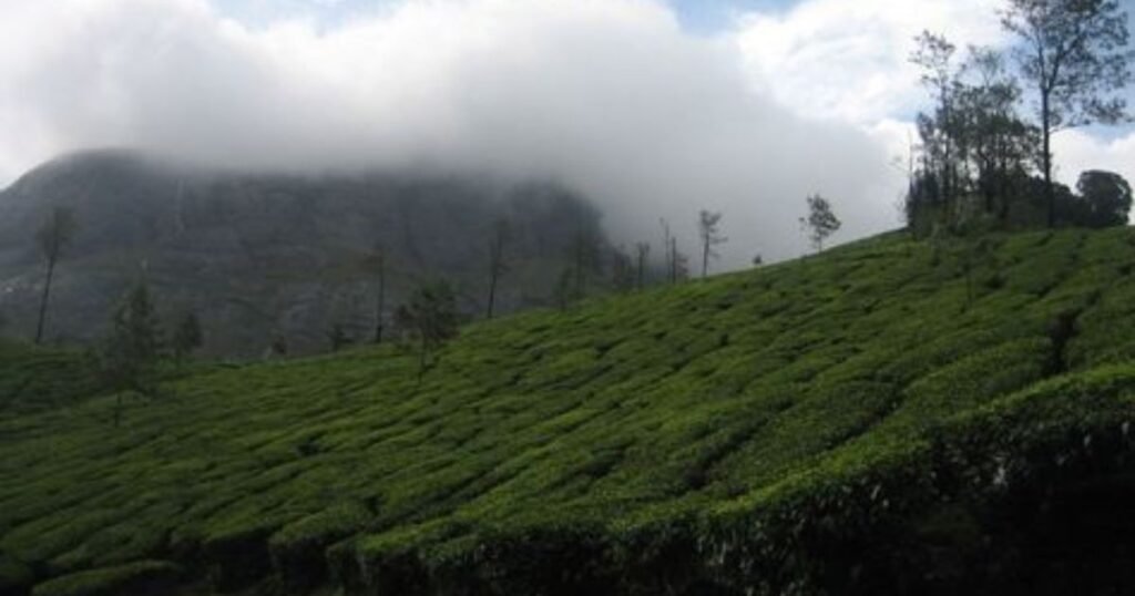 Top 10 Hill Stations in Kerala to Visit for Diwali Holidays 2024