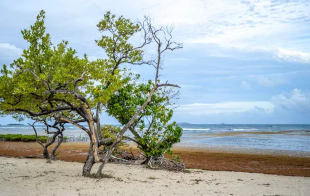 best islands to visit in the caribbean