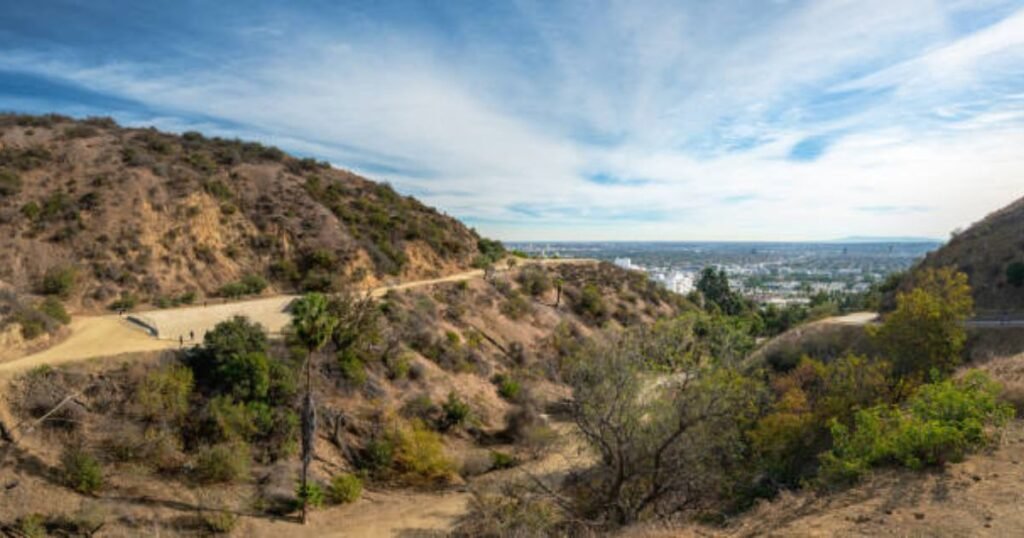 Los Angeles in January